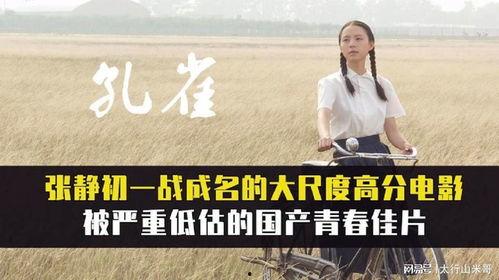 国产青春电影素材视频