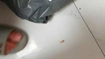 国产乳胶衣开箱视频,质感与舒适度的完美结合