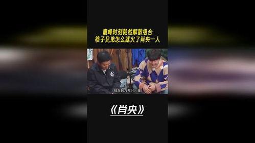 国产兄弟巅峰视频下载网站