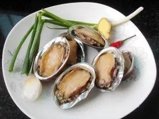 国产小鲍鱼在线视频,美味佳肴，视觉盛宴