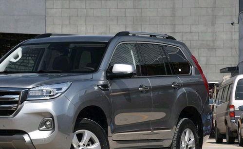 国产大钢炮越野视频,大钢炮越野视频深度解析